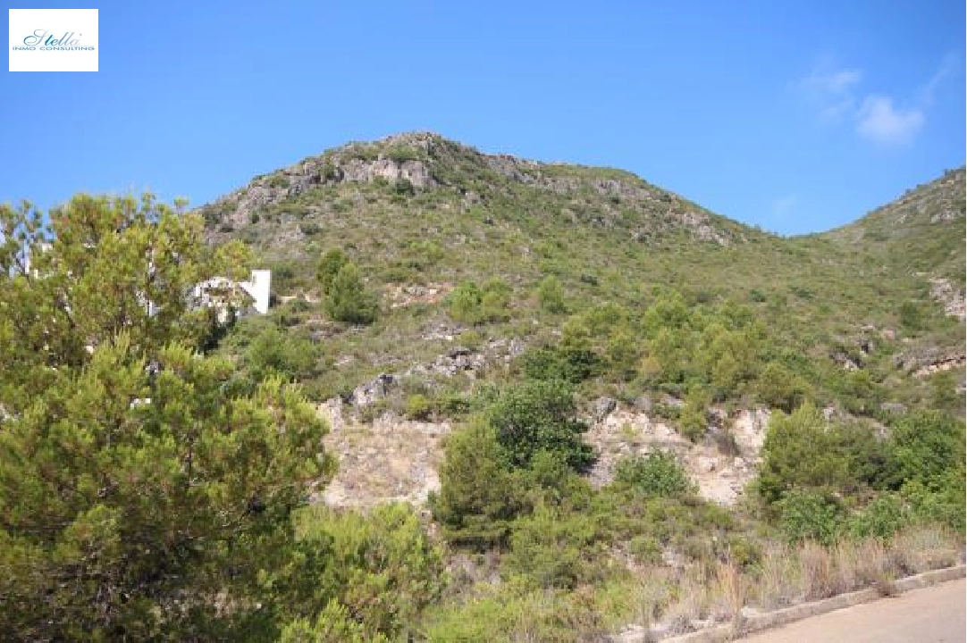 terrain en Pego(Monte Mostalla) en vente, terrain 800 m², ref.: N-2515-3