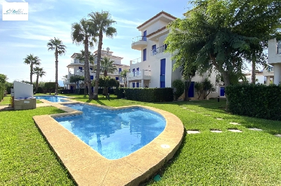 penthouse-apartment-in-Denia-Deveses-for-sale-AS-2320-1.webp