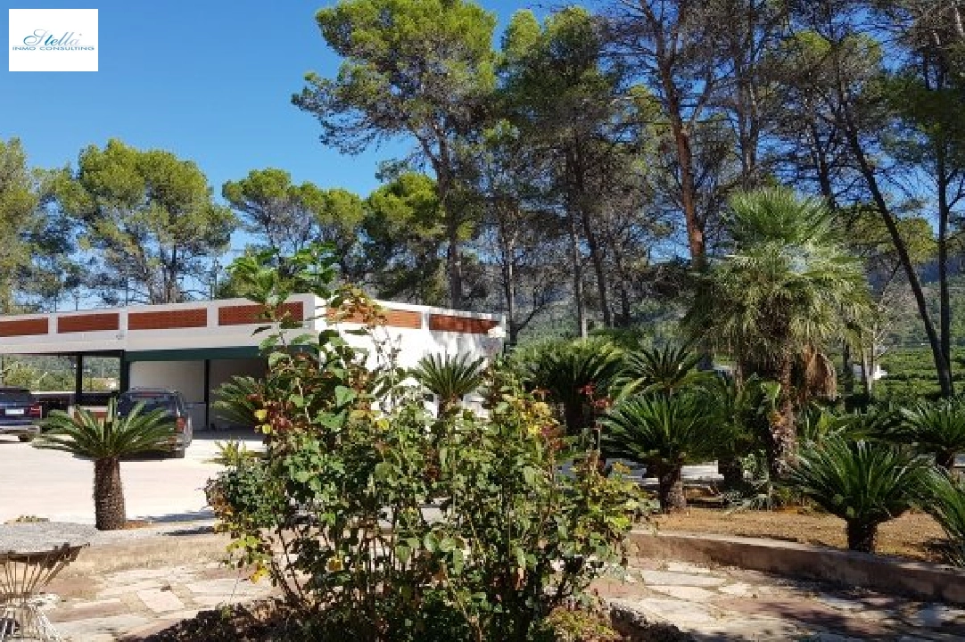 villa en Gandia en vente, construit 1300 m², terrain 200000 m², 20 salle de bains, ref.: BS-3974641-29