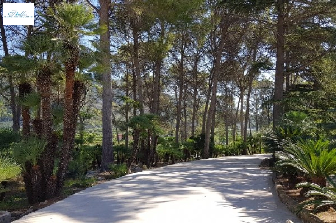 villa en Gandia en vente, construit 1300 m², terrain 200000 m², 20 salle de bains, ref.: BS-3974641-9