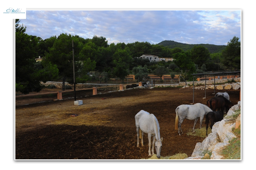 villa en Javea en vente, construit 420 m², aire acondicionado, terrain 18000 m², 5 chambre, 3 salle de bains, piscina, ref.: PR-PPS1295-20