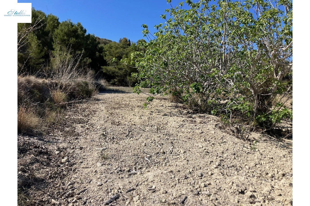 terrain en Benissa(Benissa) en vente, terrain 10894 m², ref.: CA-G-1771-AMB-10