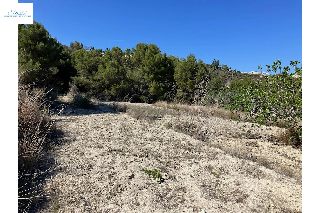 terrain en Benissa(Benissa) en vente, terrain 10894 m², ref.: CA-G-1771-AMB-13