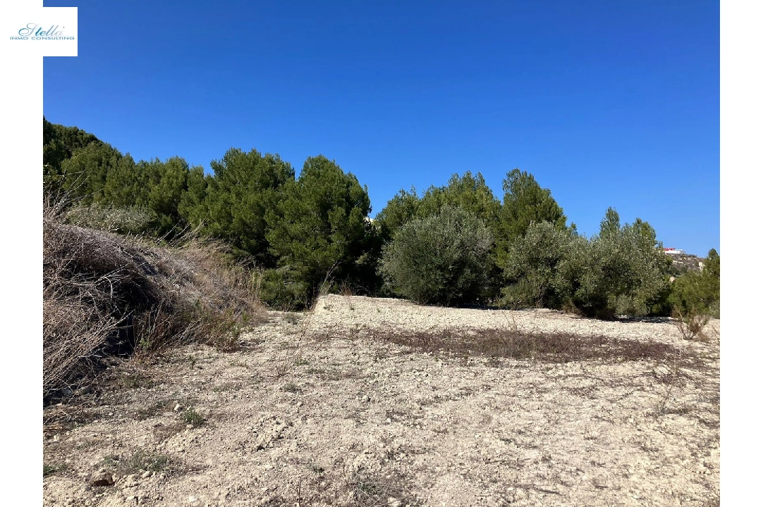 terrain en Benissa(Benissa) en vente, terrain 10894 m², ref.: CA-G-1771-AMB-5