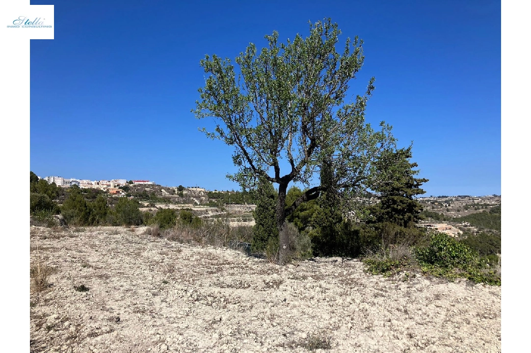 terrain en Benissa(Benissa) en vente, terrain 10894 m², ref.: CA-G-1771-AMB-6