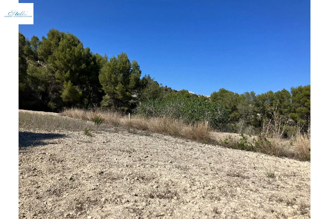 terrain en Benissa(Benissa) en vente, terrain 10894 m², ref.: CA-G-1771-AMB-9