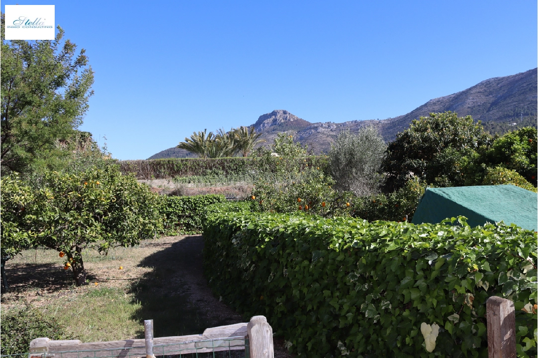 finca en Parcent en vente, construit 140 m², terrain 830 m², 3 chambre, 1 salle de bains, ref.: PT-24005-29