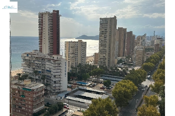 apartment-in-Benidorm-Avenida-del-Mediterraneo-for-sale-COB-13065-10535-2.webp