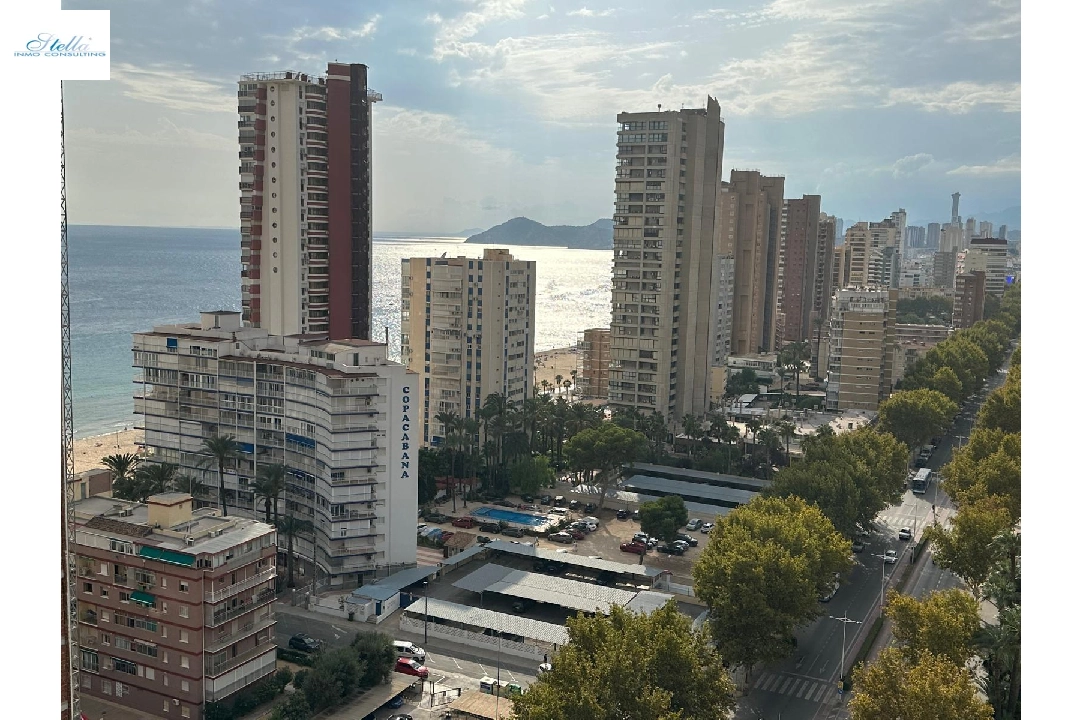 appartement en Benidorm(Avenida del Mediterraneo) en vente, construit 63 m², aire acondicionado, 1 chambre, 1 salle de bains, piscina, ref.: COB-13065-10535-2