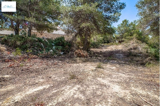 residential-ground-in-Moraira-for-sale-AM-10961DA-2.webp