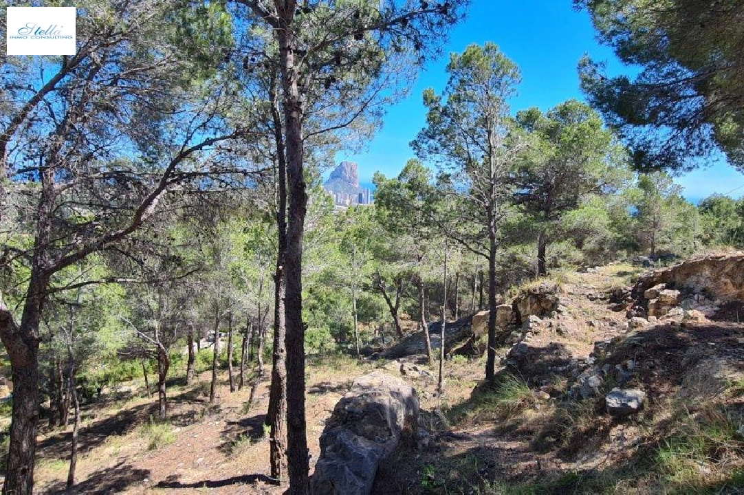 terrain en Calpe en vente, aire acondicionado, terrain 2500 m², piscina, ref.: AM-11750DA-5