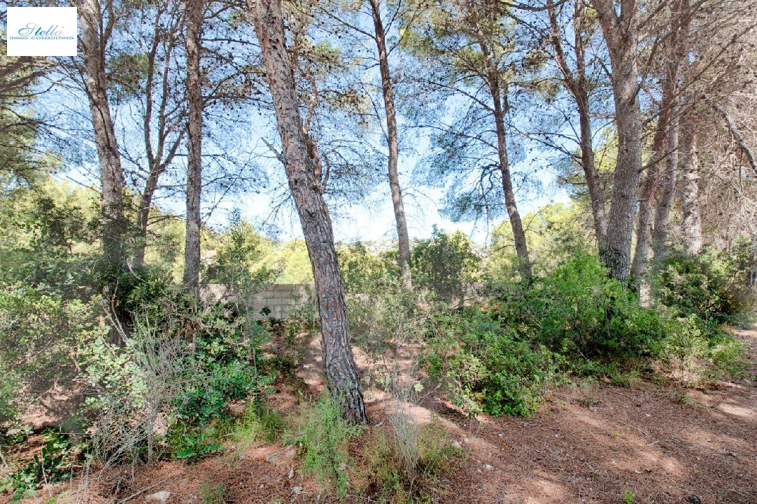 terrain en Benissa en vente, aire acondicionado, terrain 1039 m², piscina, ref.: AM-11814DA-1