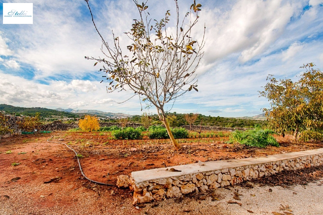 finca en Gata de Gorgos en vente, construit 450 m², ano de construccion 1900, + estufa, aire acondicionado, terrain 20000 m², 4 chambre, 2 salle de bains, piscina, ref.: AM-11846DA-20