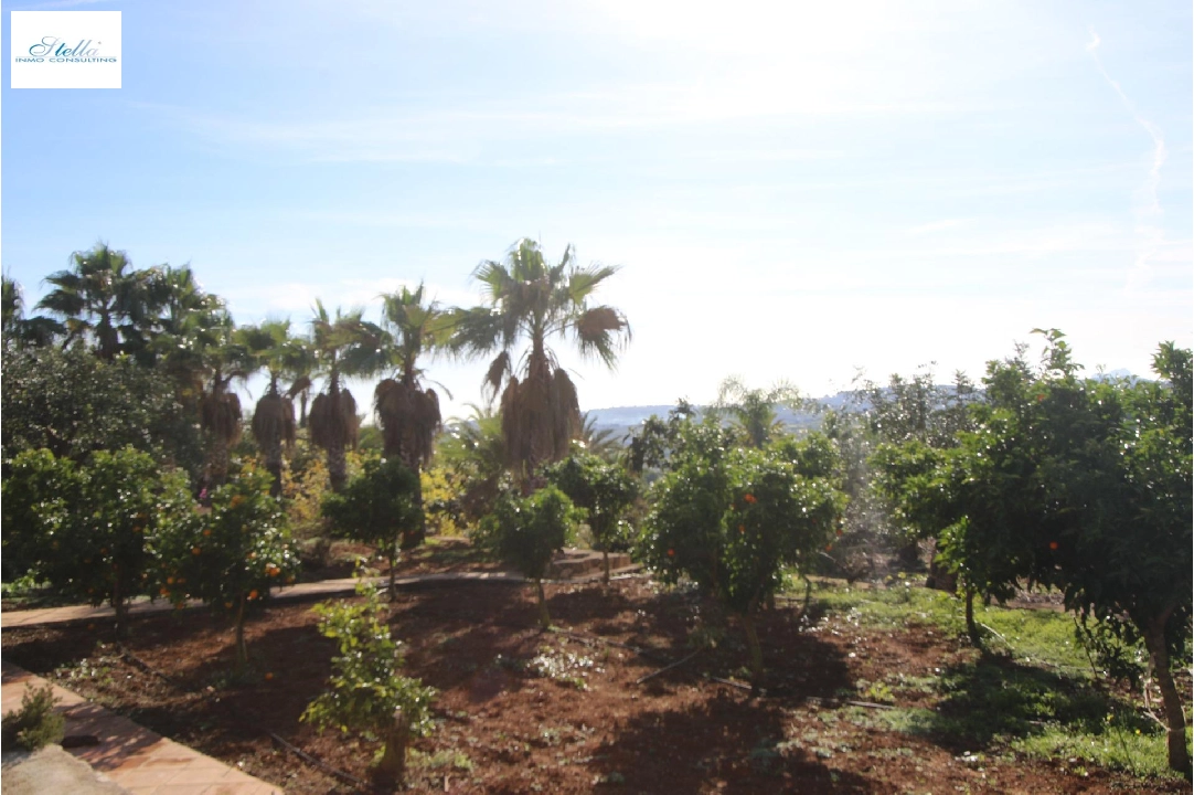 finca en Benissa(Canor) en vente, construit 960 m², terrain 15000 m², 15 chambre, 14 salle de bains, piscina, ref.: COB-3322-10535-48