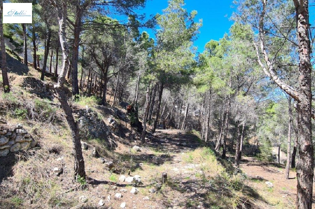 terrain en Calpe en vente, aire acondicionado, terrain 2500 m², ref.: AM-11750NS-4